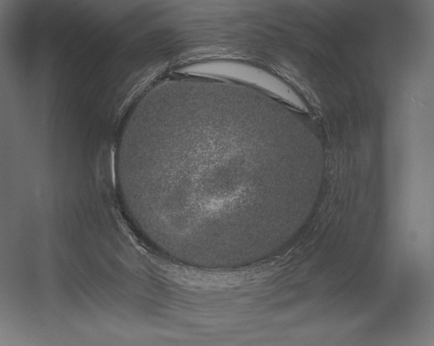 X0000056320014200509021615