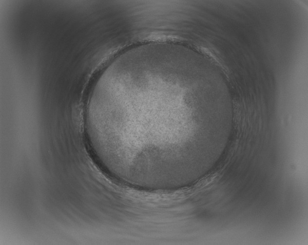 X0000056320016200509021615