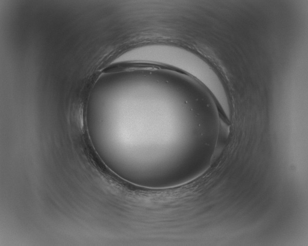X0000056320021200509021615