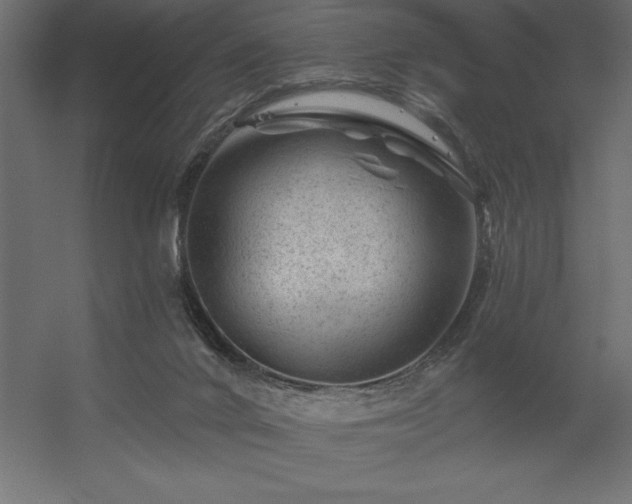 X0000056320024200509021615