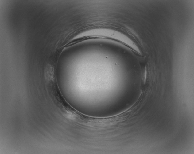 X0000056320025200509021615