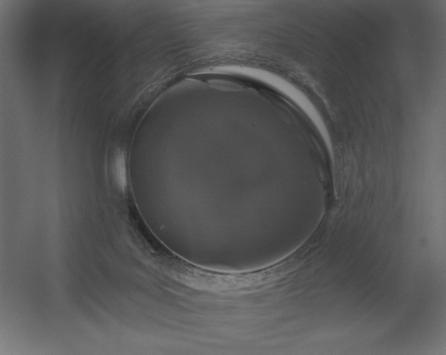 X0000056320027200509021615
