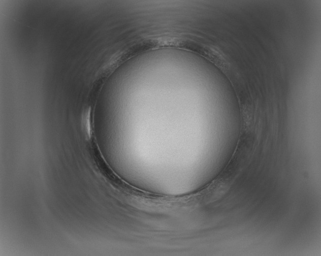 X0000056320028200509021615