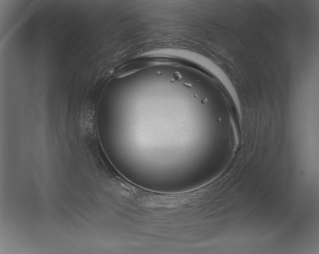 X0000056320033200509021615
