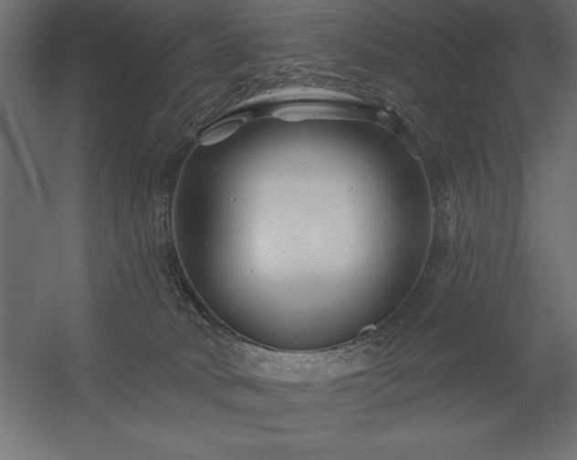 X0000056320034200509021615