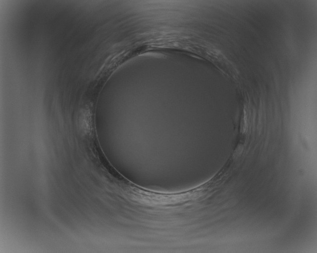 X0000056320035200509021615