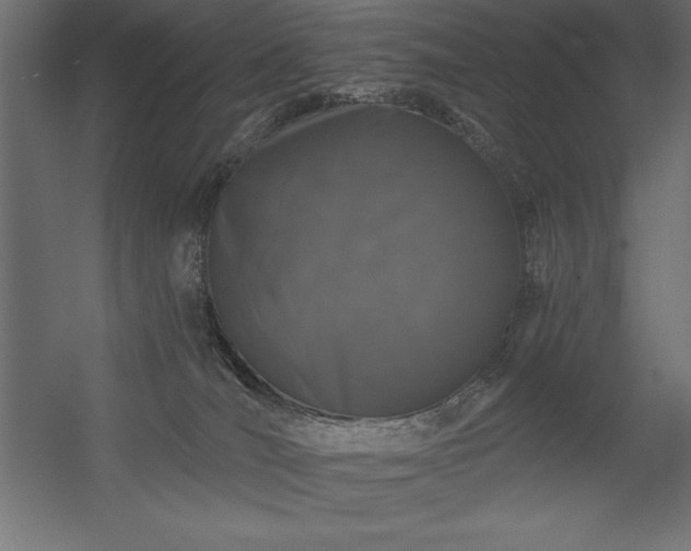 X0000056320036200509021615