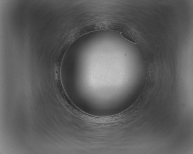 X0000056320038200509021615