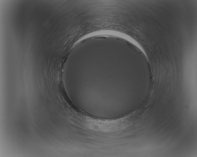 X0000056320039200509021615
