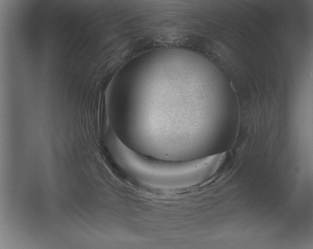 X0000056320040200509021615
