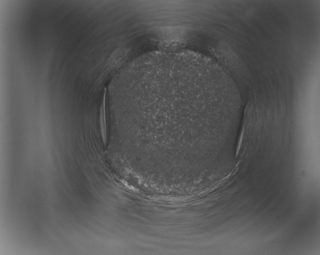 X0000056320041200509021615