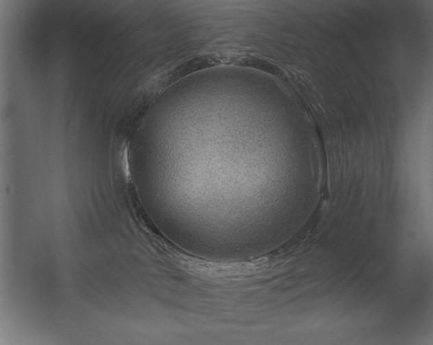 X0000056320042200509021615