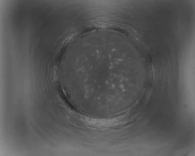 X0000056320043200509021614