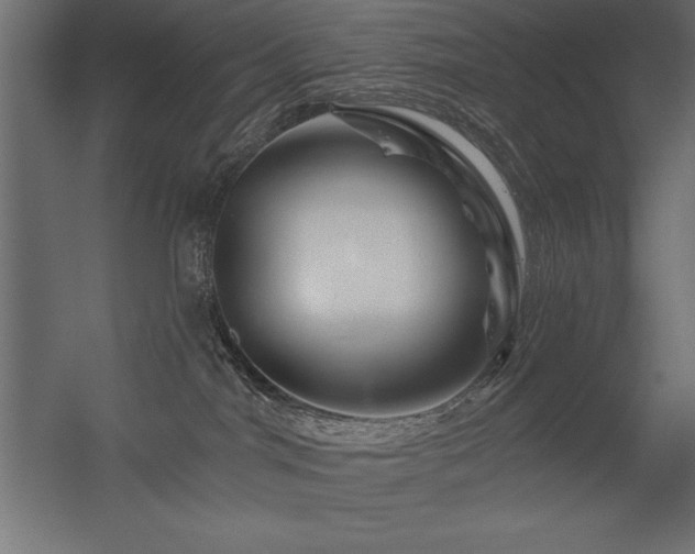 X0000056320044200509021614