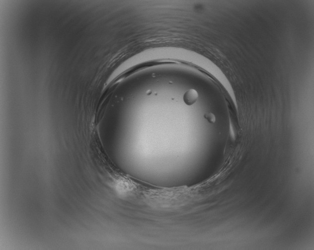 X0000056320045200509021614