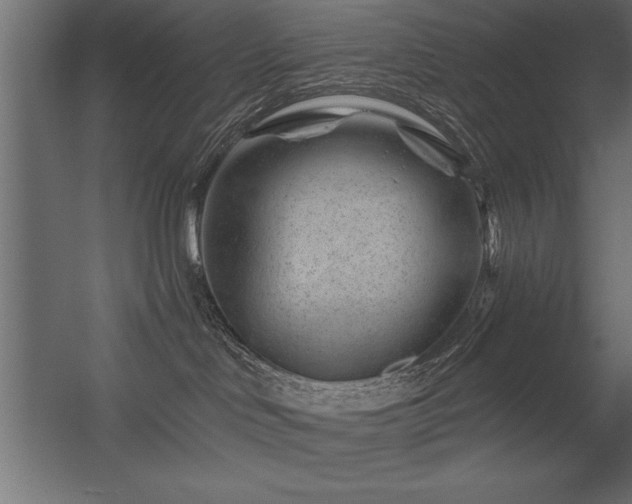 X0000056320046200509021614