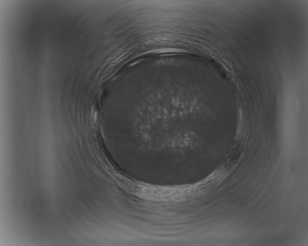 X0000056320048200509021614