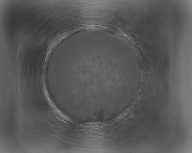 X0000056320049200509021614