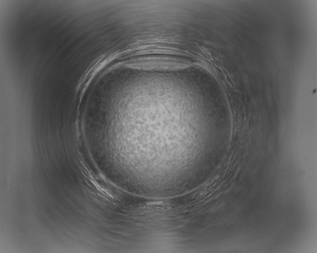 X0000056320050200509021614