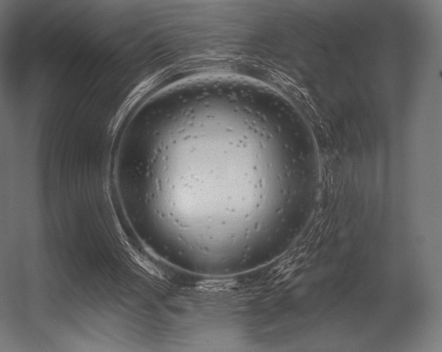 X0000056320051200509021614