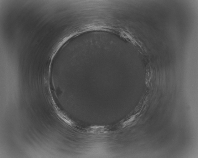 X0000056320052200509021614