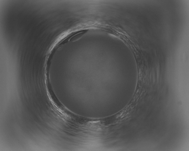 X0000056320054200509021614