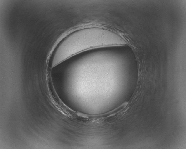 X0000056320056200509021614