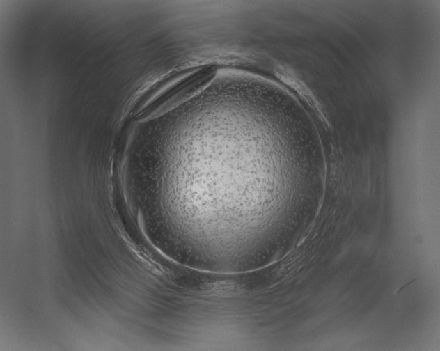 X0000056320058200509021614