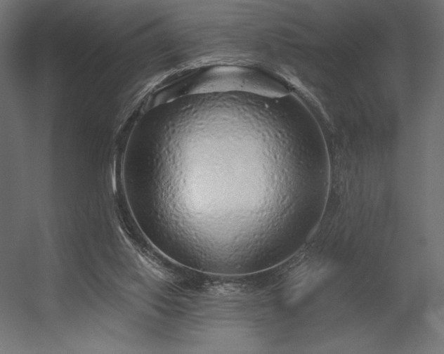 X0000056320062200509021614