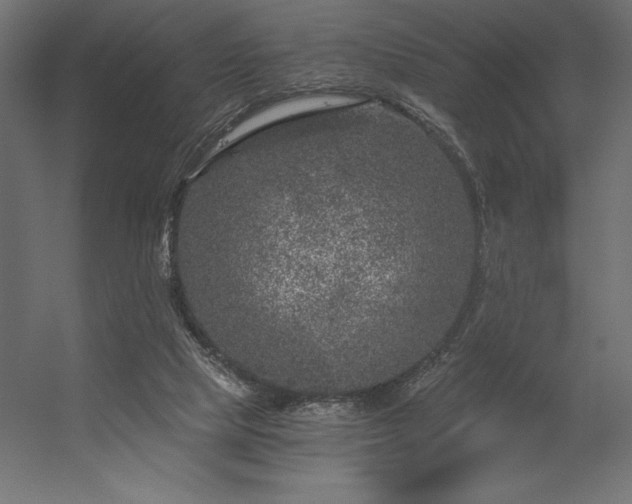 X0000056320065200509021614