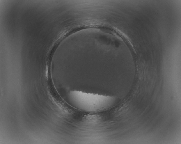 X0000056320067200509021614