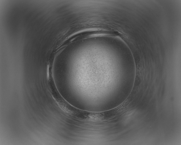 X0000056320070200509021614
