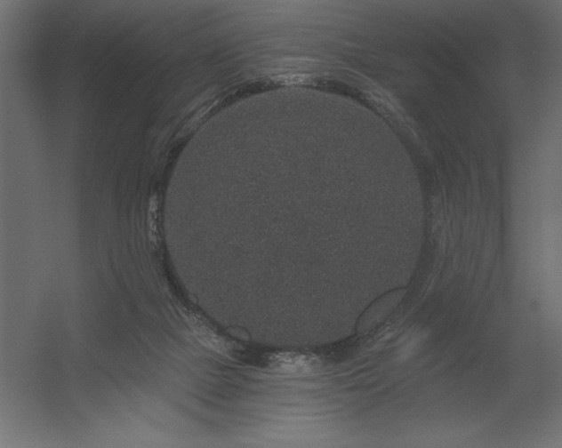 X0000056320073200509021614