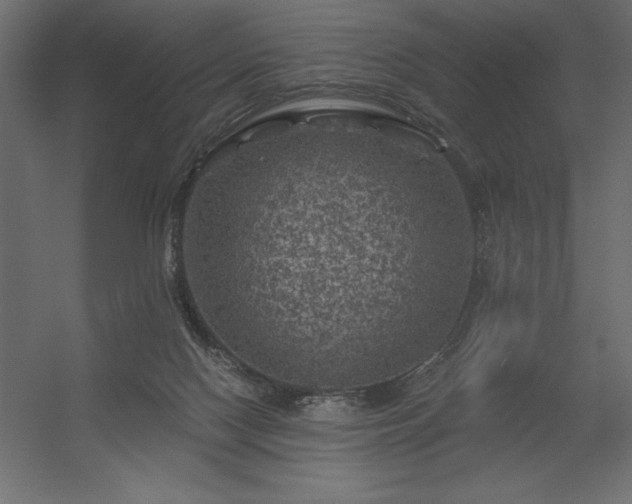 X0000056320074200509021614