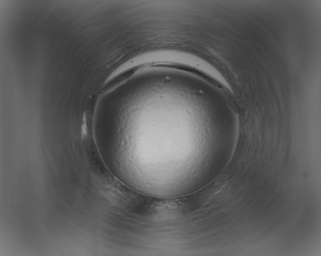 X0000056320075200509021614