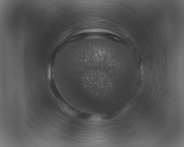 X0000056320076200509021614