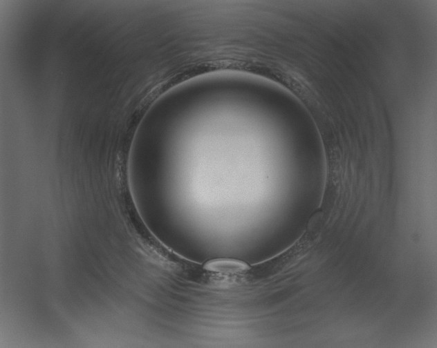 X0000056320077200509021614