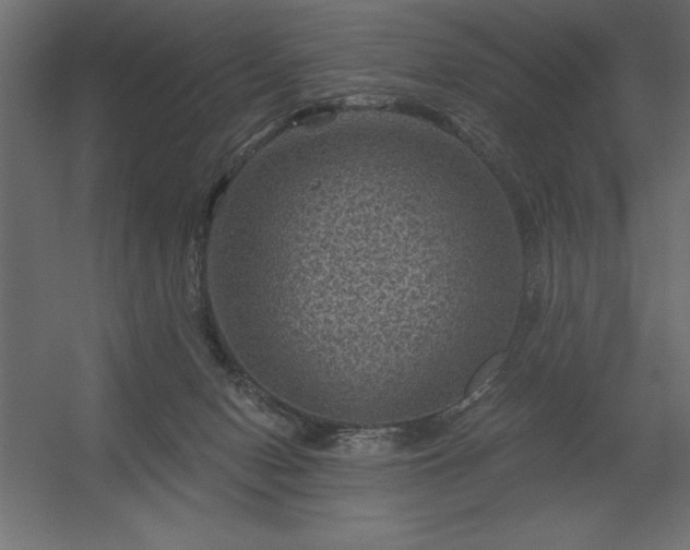 X0000056320078200509021614