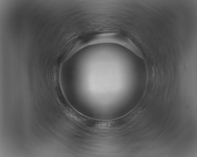 X0000056320084200509021614