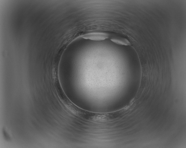 X0000056320086200509021614