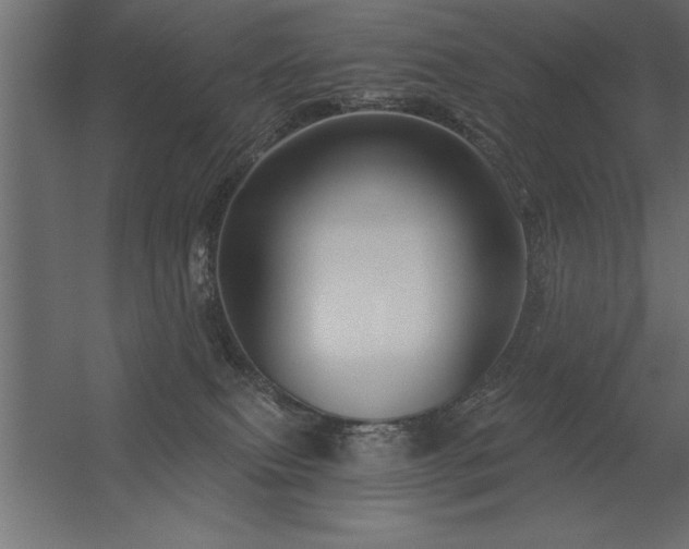 X0000056320087200509021614