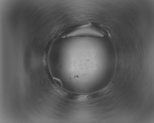 X0000056320090200509021614
