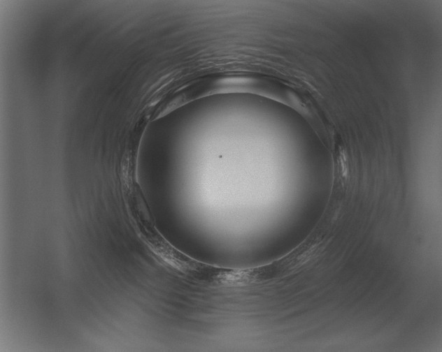 X0000056320092200509021614