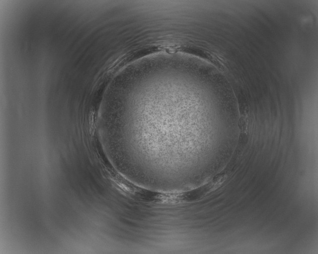 X0000056320093200509021614