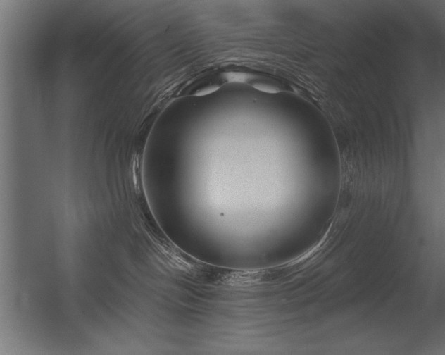 X0000056320094200509021614