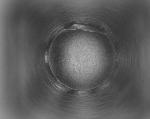 X0000056320095200509021614