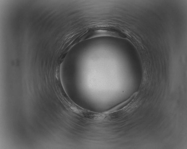 X0000056320096200509021614