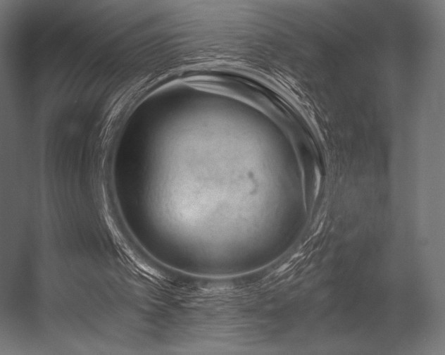 X0000056320097200509021614