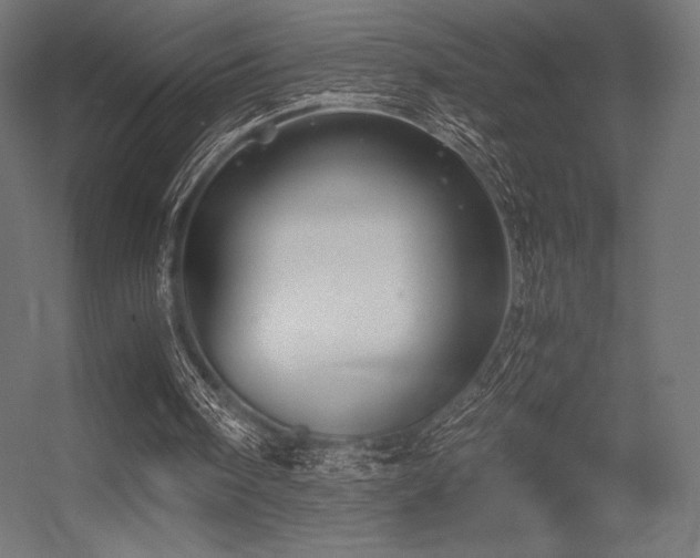 X0000056320098200509021614