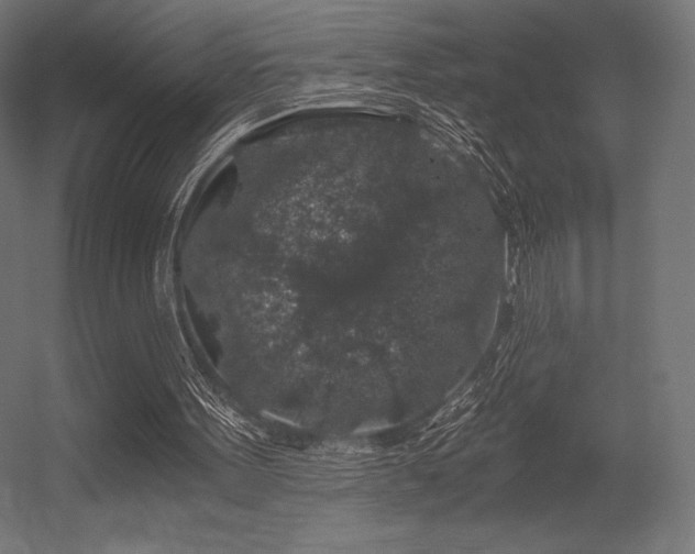 X0000056320099200509021614